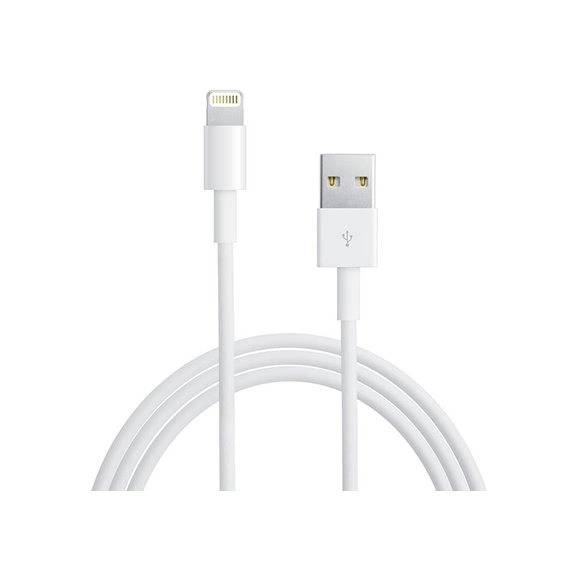 Apple Lightning to USB Cable - 0.5m